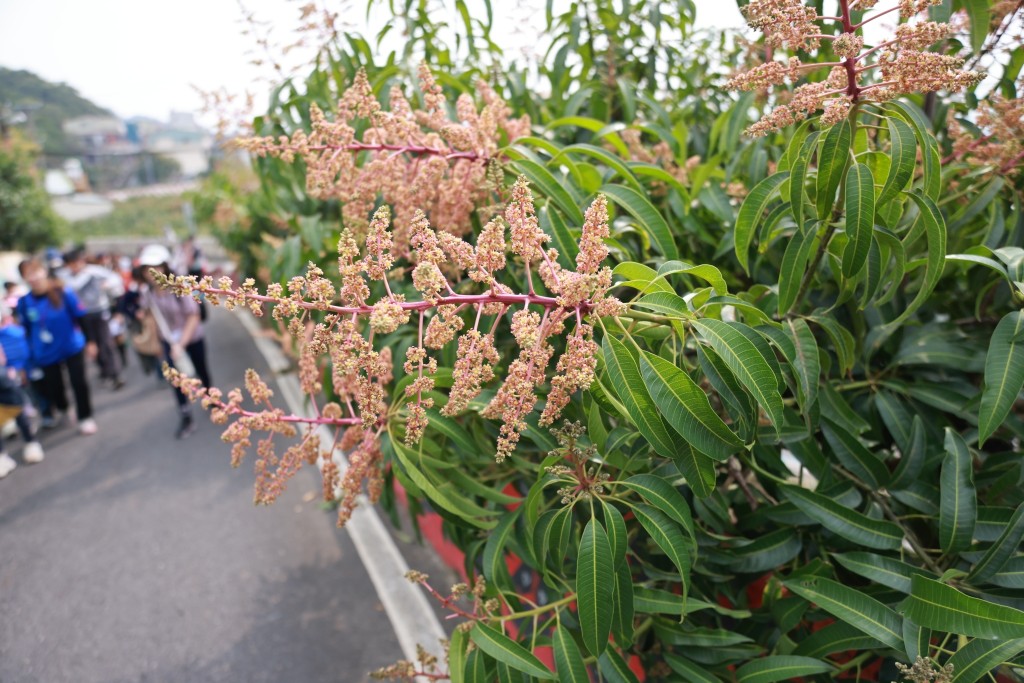 相片album_697c823f3577e.jpg圖示