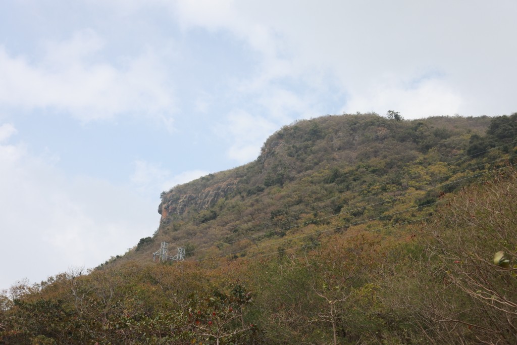 相片album_697c82439eefc.jpg圖示