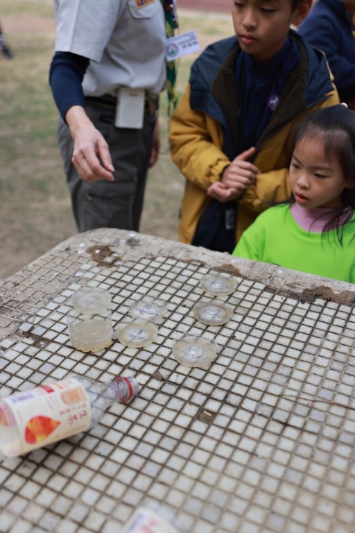 相片album_697c825c46131.jpg圖示