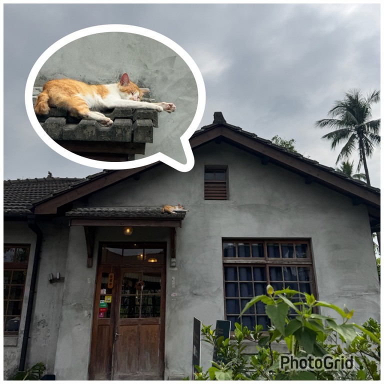 相片album_69af5e3851c91.jpg圖示