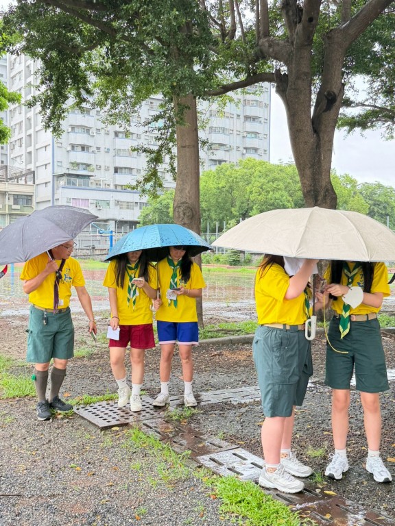 相片album_6a67103d67256.jpg圖示