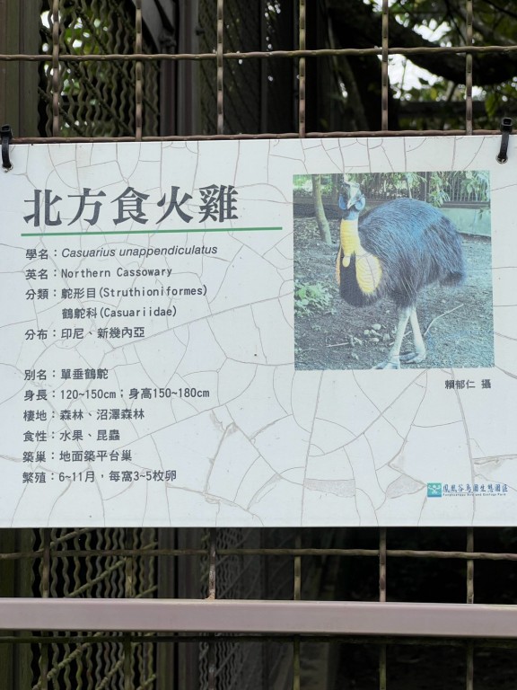 相片album_6ab0d6830790d.jpg圖示