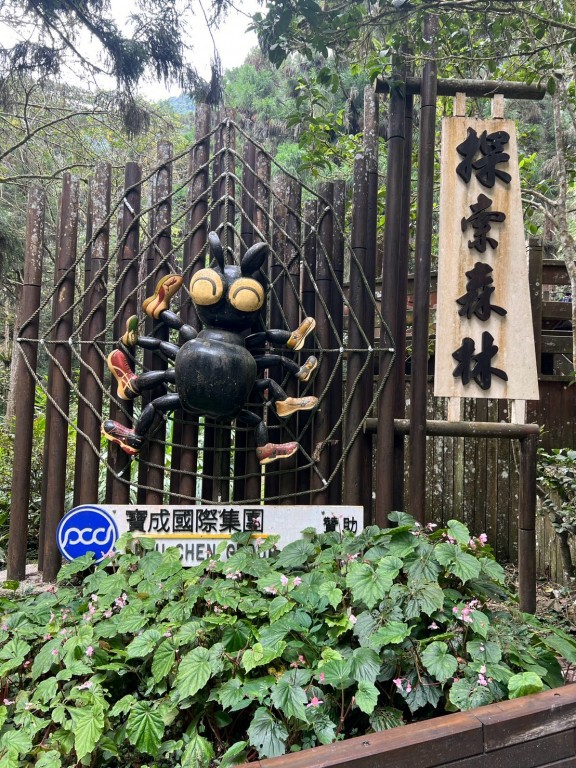 相片album_6ab0d6b5ac1aa.jpg圖示